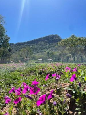 Posada San Miguel Paraguari Buitenkant foto